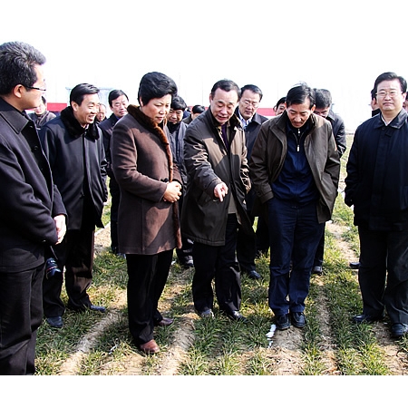 國(guó)家農(nóng)業(yè)部副部長(zhǎng)陳曉華來(lái)汶上縣檢查指導(dǎo)抗旱促春管工作