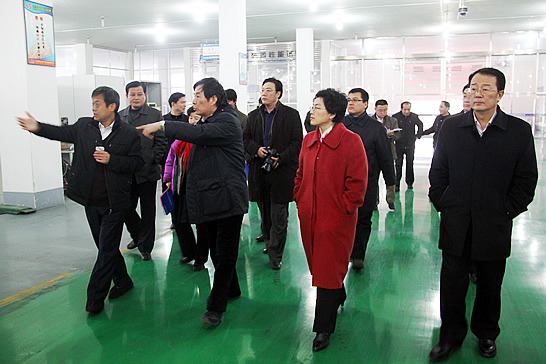 國務院參事、科技部原副部長劉燕華到汶上縣新風光電子科技發(fā)展有限公司調研