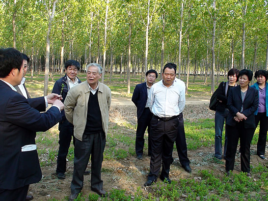 中國(guó)林科院首席科學(xué)家盛煒彤率調(diào)研組到汶上縣調(diào)研林下經(jīng)濟(jì)發(fā)展工作