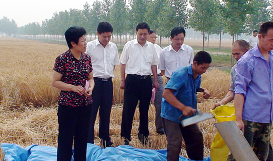 汶上縣人大常委會副主任戴福盈，汶上縣政府副縣長閆波到鄉(xiāng)鎮(zhèn)督導檢查“三夏”生產(chǎn)和秸 ...
