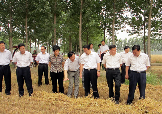 趙東升、孫琪分別到康驛鎮(zhèn)、汶上鎮(zhèn)、南站鎮(zhèn)等鄉(xiāng)鎮(zhèn)督導(dǎo)檢查三夏生產(chǎn)和秸桿禁燒工作