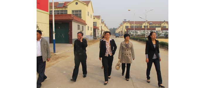 汶上縣婦聯(lián)主席胡秀玉到義橋鎮(zhèn)督導(dǎo)檢查環(huán)境治理進(jìn)家庭工作