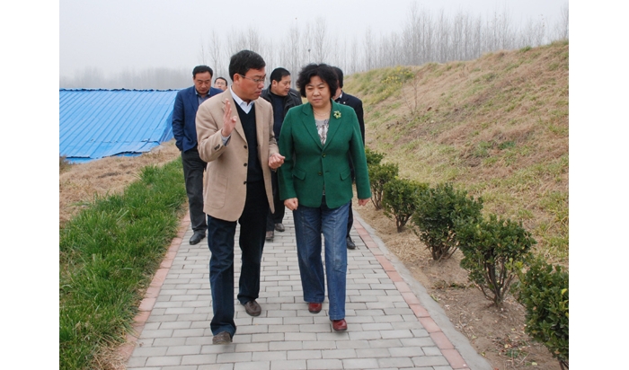 濟寧市文物局局長孫美榮到汶上督導大運河保護和申遺工作