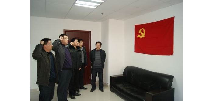 團(tuán)汶上縣委開展廉政勤政承諾宣誓活動