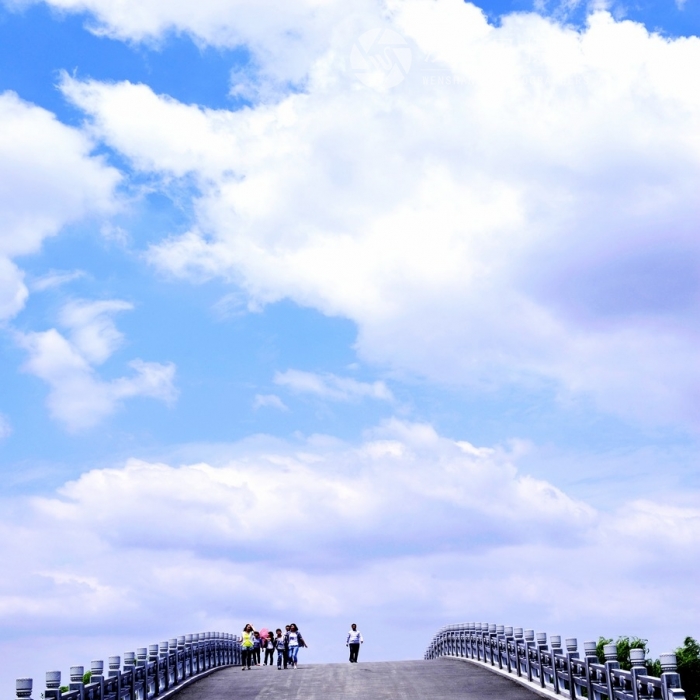 關(guān)于舉辦汶上蓮花湖濕地?cái)z影大賽暨優(yōu)秀作品展的通知