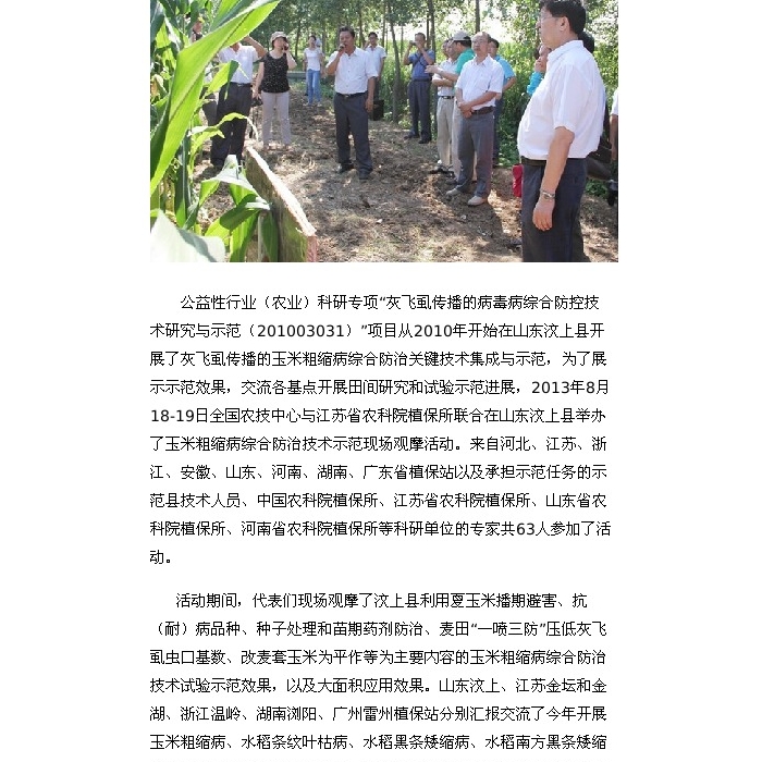 “玉米粗縮病綜合防治技術(shù)示范現(xiàn)場觀摩活動(dòng)”在山東汶上縣舉辦