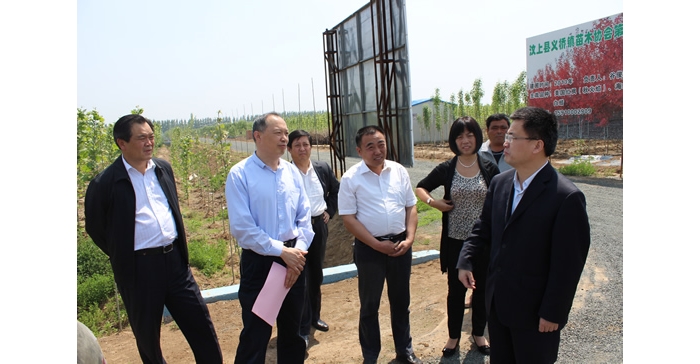 侯典峰陪同林兆謙到縣蘆花雞協(xié)會(huì)、義橋鎮(zhèn)苗木基地實(shí)地檢查指導(dǎo)