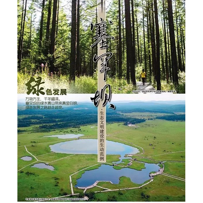 汶上縣國(guó)民當(dāng)局 通知通知布告 塞罕壩精力公益告白通稿
