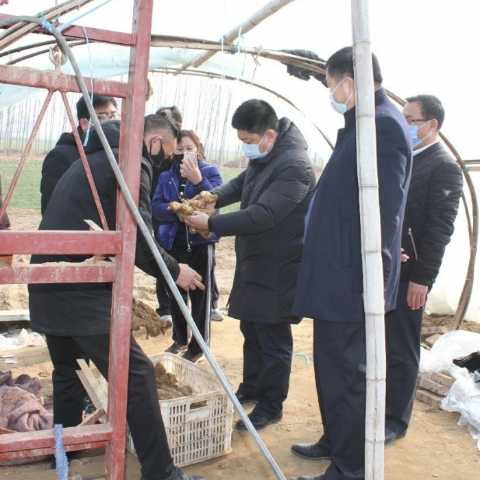 縣委常委、副縣長王洪正帶隊督導檢查全縣蔬菜生產(chǎn)保障供給工作