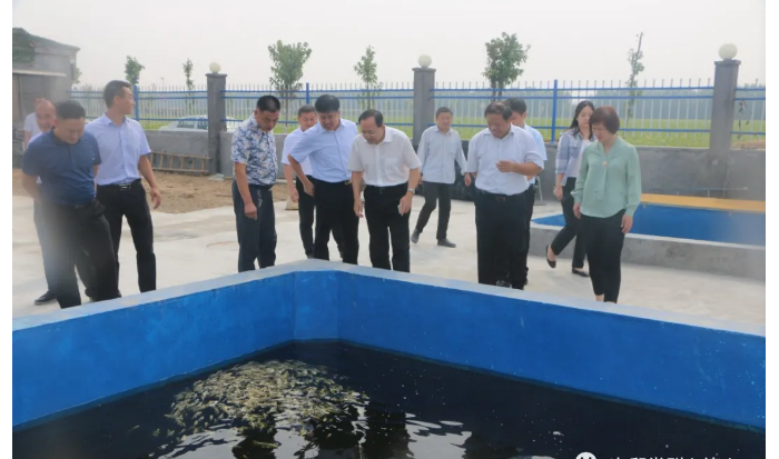 省國資委黨委委員、副主任，機(jī)關(guān)黨委書記尹剛到次邱鎮(zhèn)調(diào)研指導(dǎo)省派鄉(xiāng)村振興服務(wù)隊(duì)工作